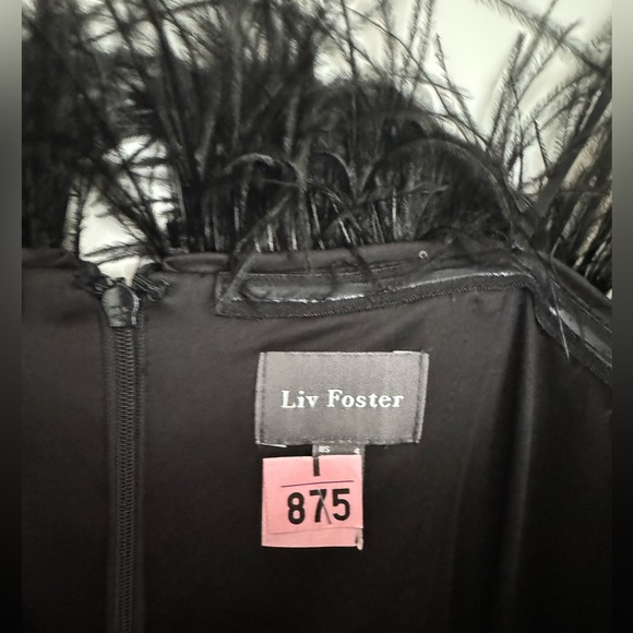 Perfect Holiday Outfit! Liv Foster Velvet Stretch Jumpsuit - Picture 7 of 9